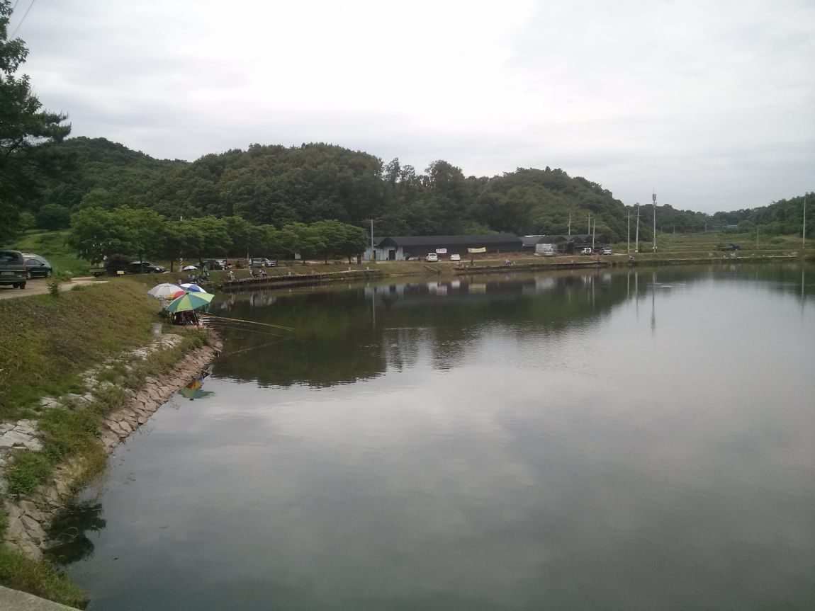 CAM01824.jpg