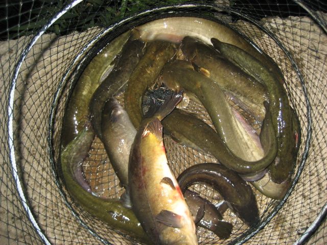 032.JPG