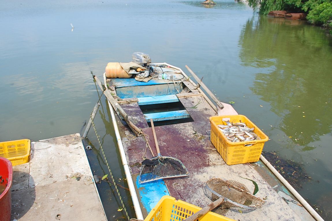 �ٹ̱�_DSC_0012.JPG