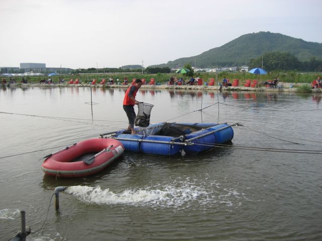010.JPG