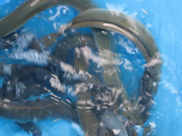 013.JPG