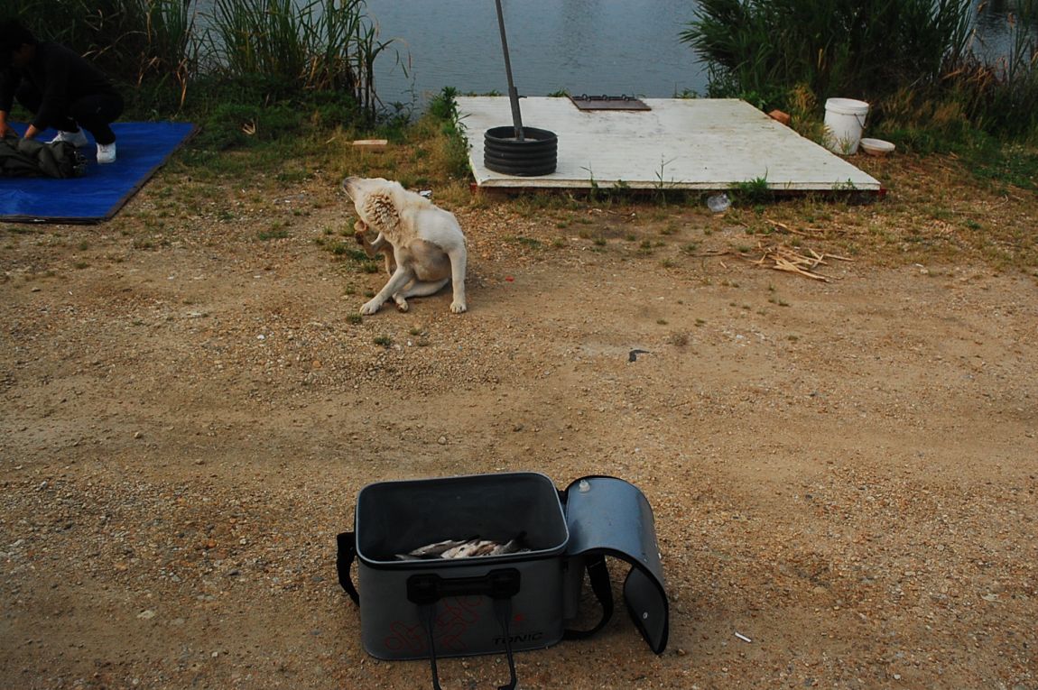 DSC_0118.JPG