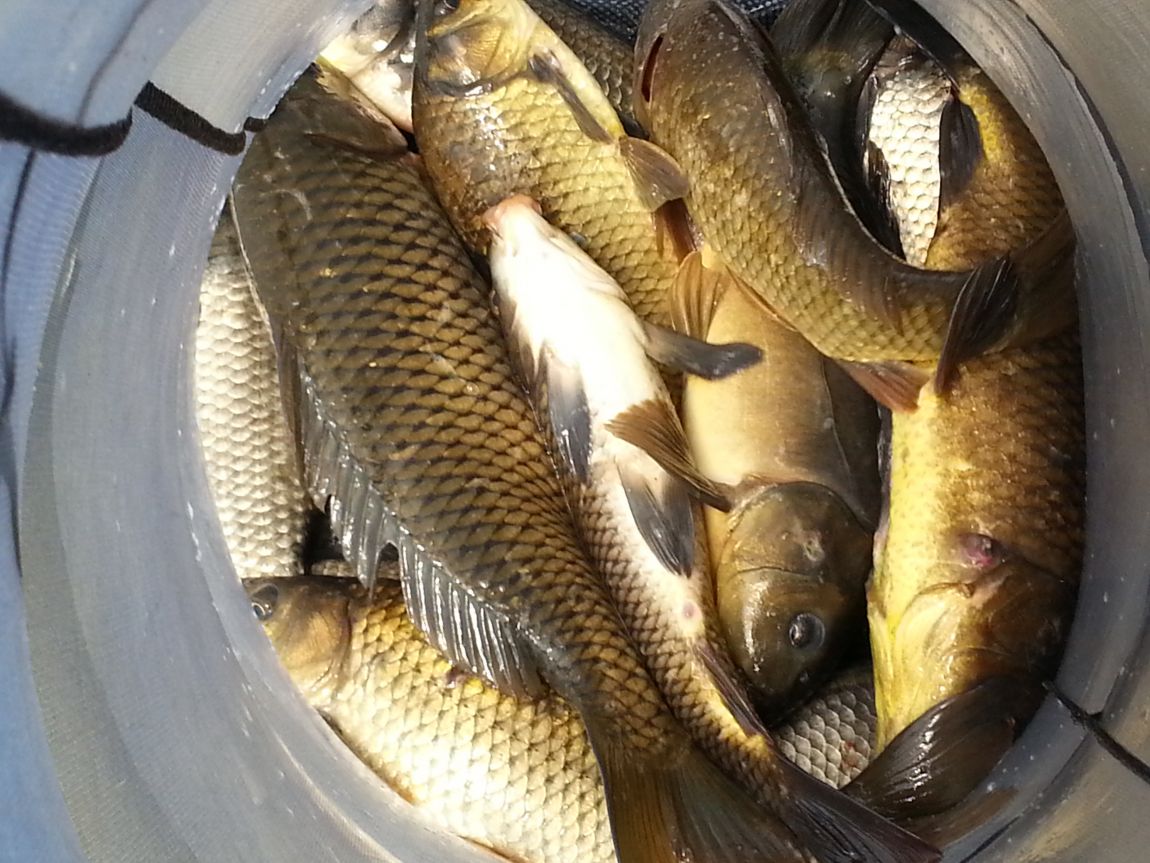 20140526_111429.jpg