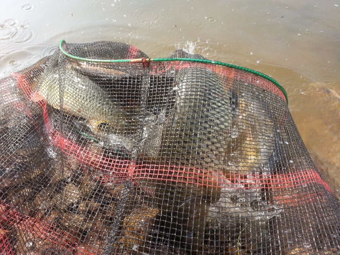 20140607_075612.jpg