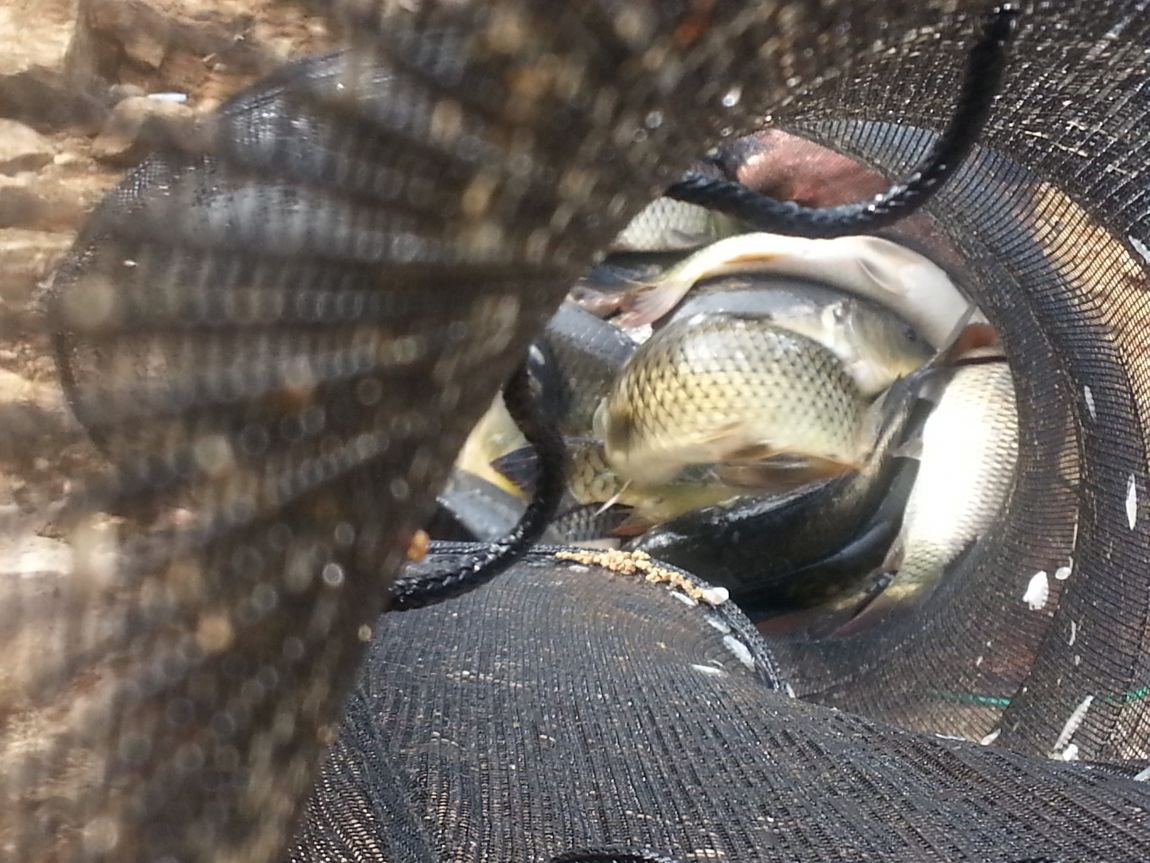 20140607_075846.jpg