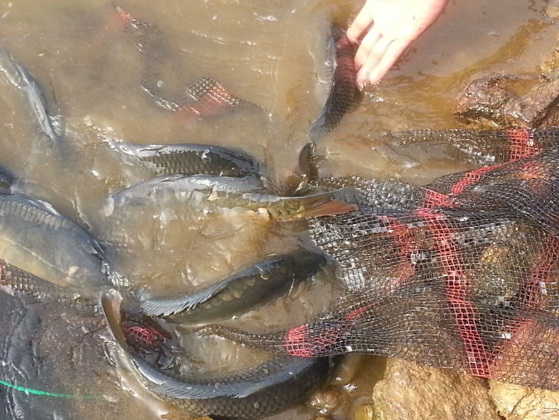 20140607_075917.jpg