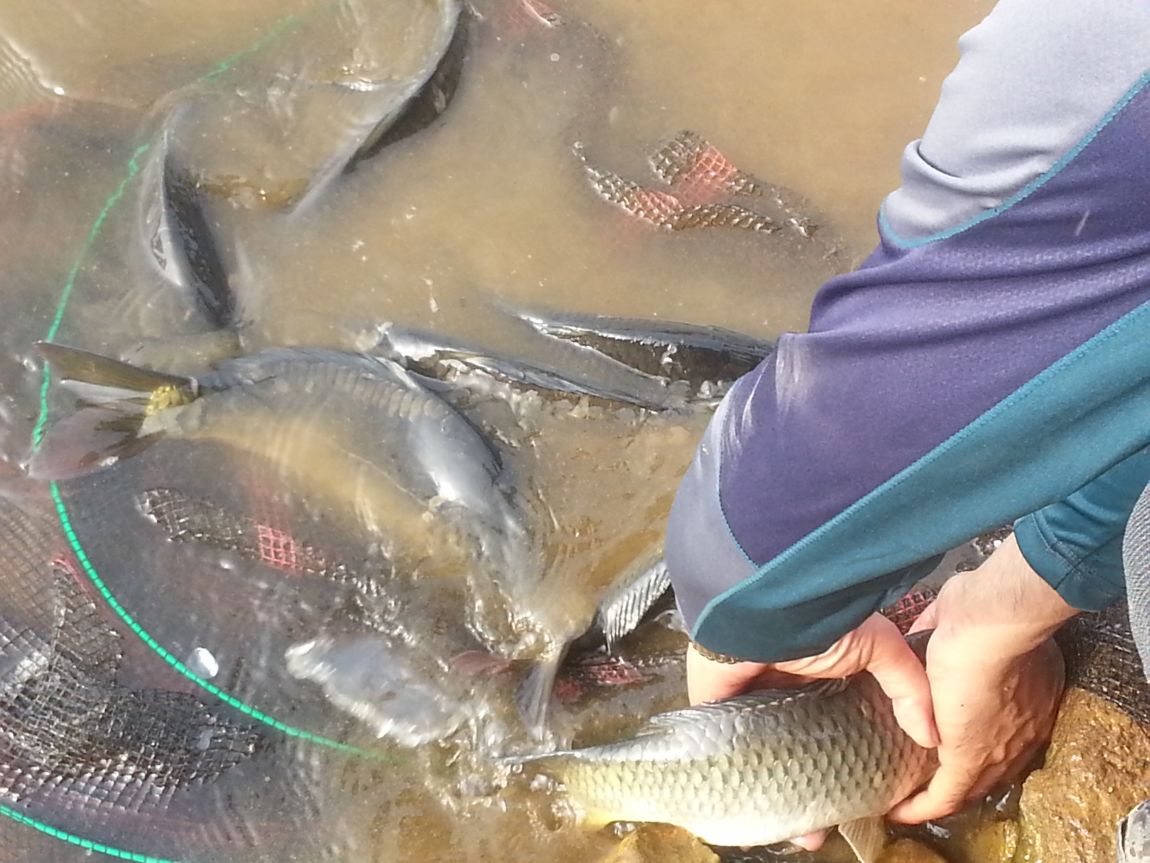 20140607_075920.jpg