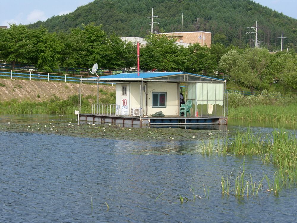 SH108873.JPG