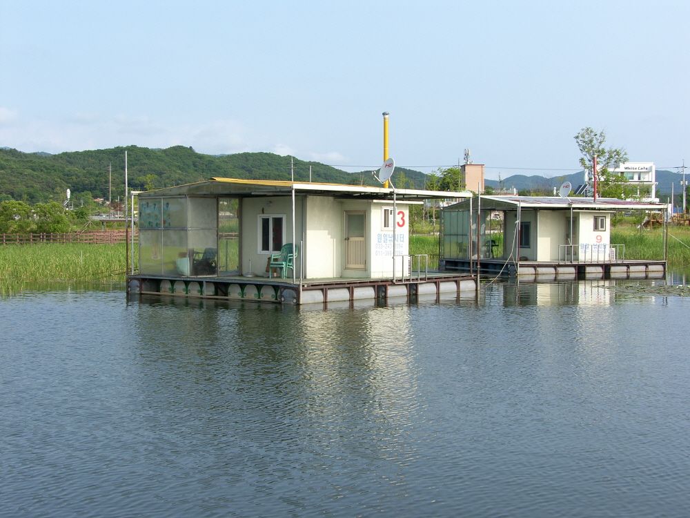 SH108875.JPG