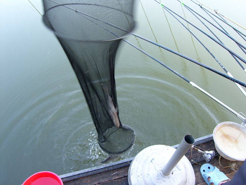 SH108889.JPG