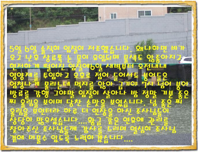 ٹ̱_DSC01248.JPG