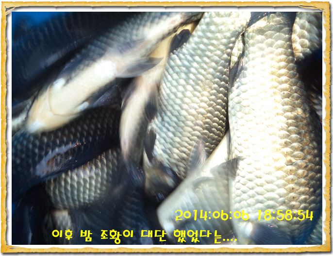 ٹ̱_DSC01275.JPG