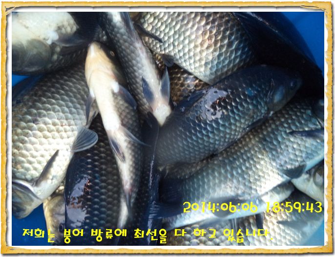 ٹ̱_DSC01277.JPG