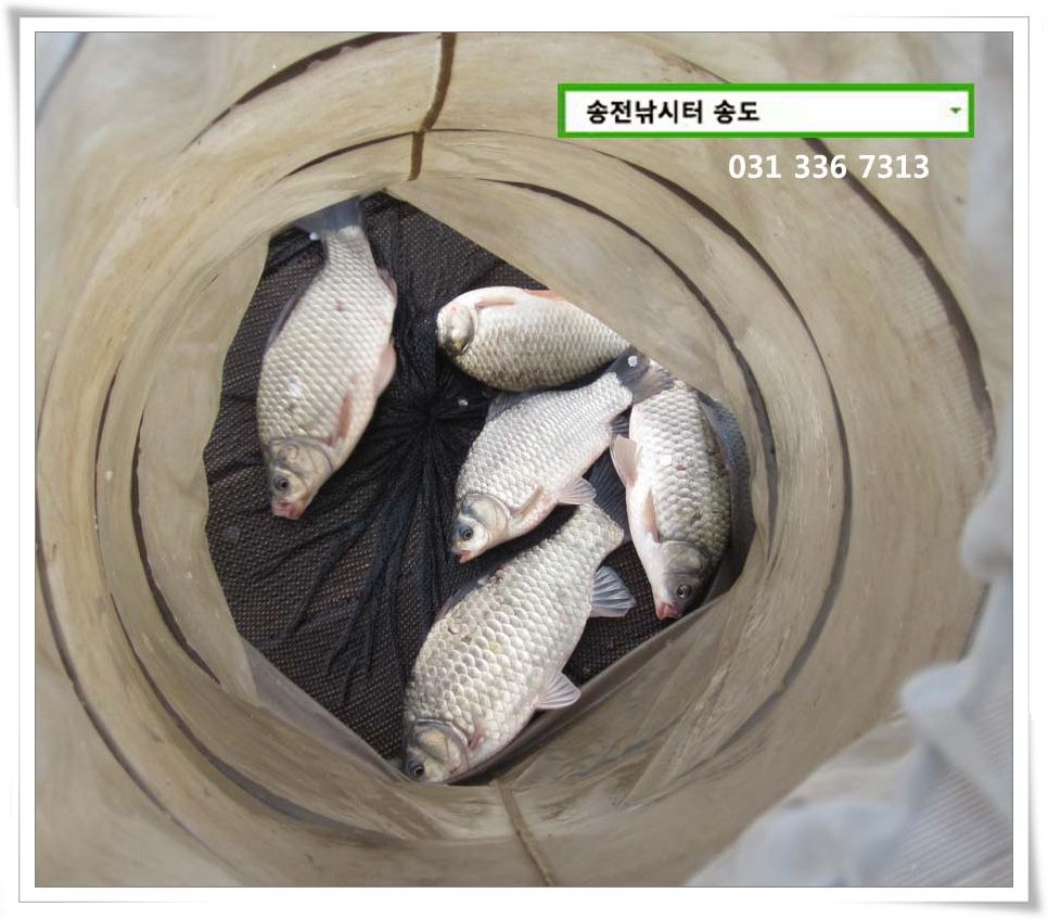 IMG_0004.JPG copy.jpg