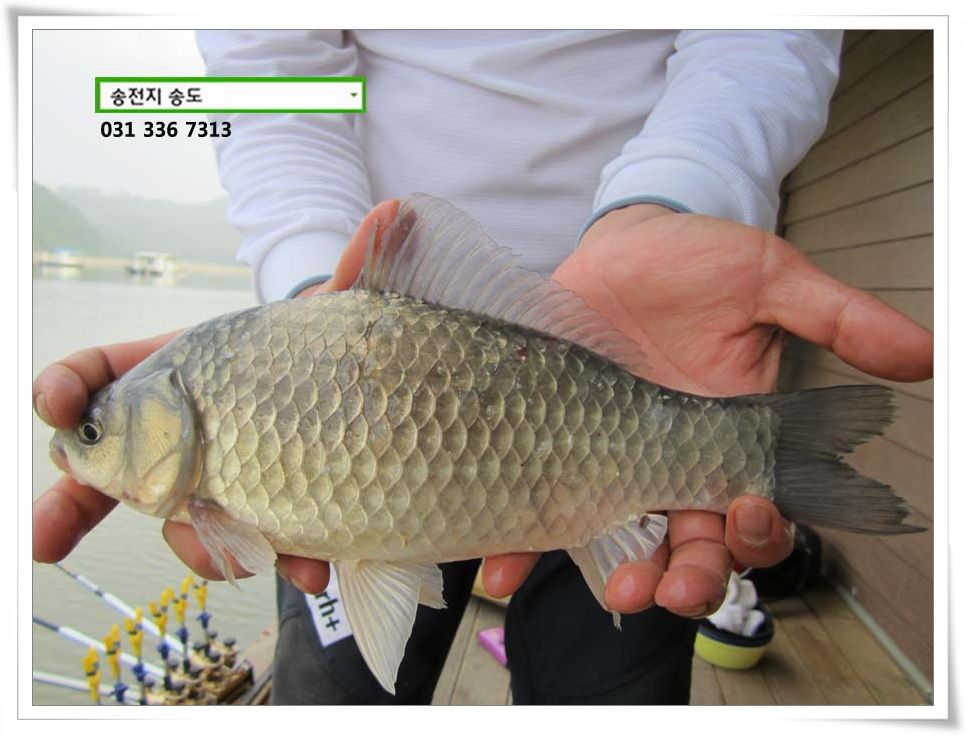 IMG_0011.JPG copy.jpg