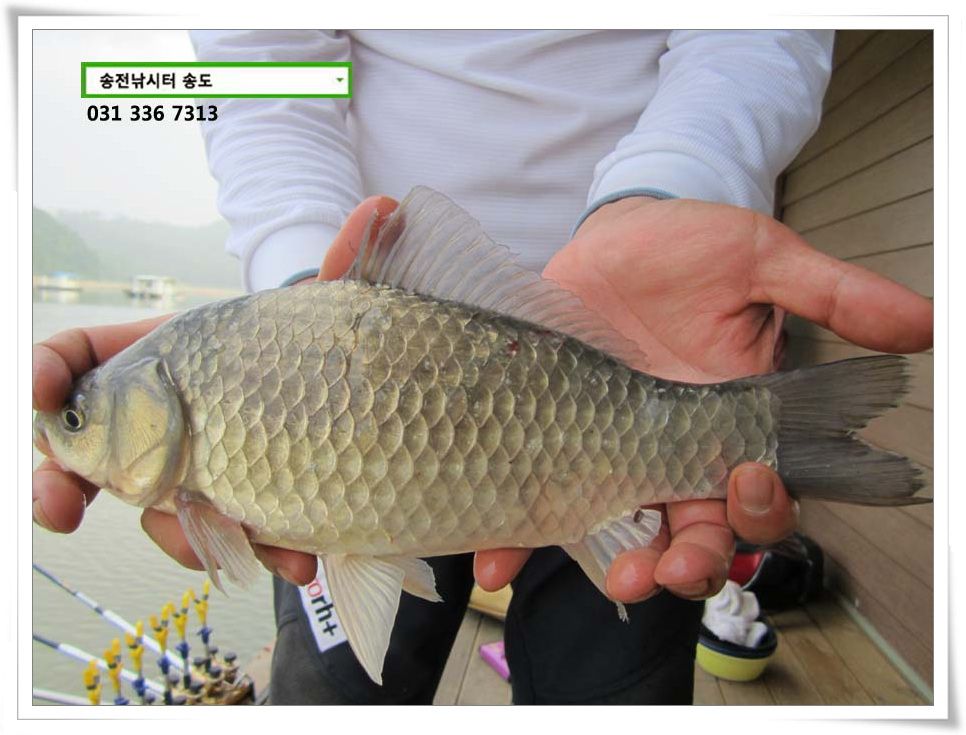 IMG_0012.JPG copy.jpg