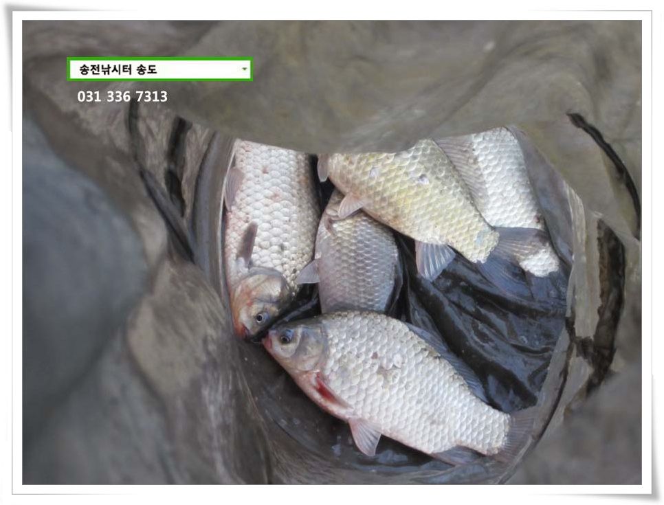 IMG_0015.JPG copy.jpg