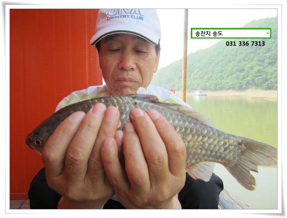 IMG_0023.JPG copy.jpg