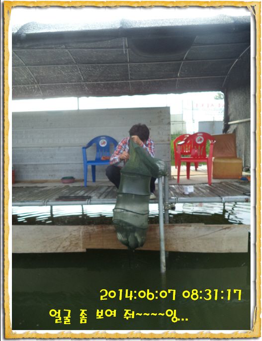 ٹ̱_DSC01315.JPG
