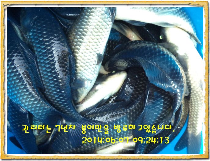 ٹ̱_DSC01316.JPG