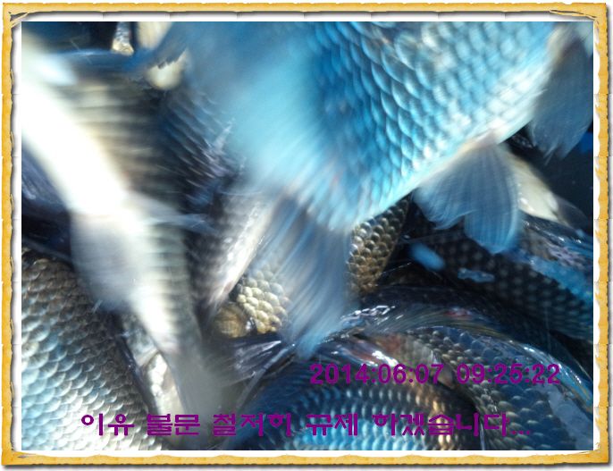 ٹ̱_DSC01319.JPG
