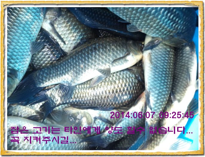 ٹ̱_DSC01320.JPG