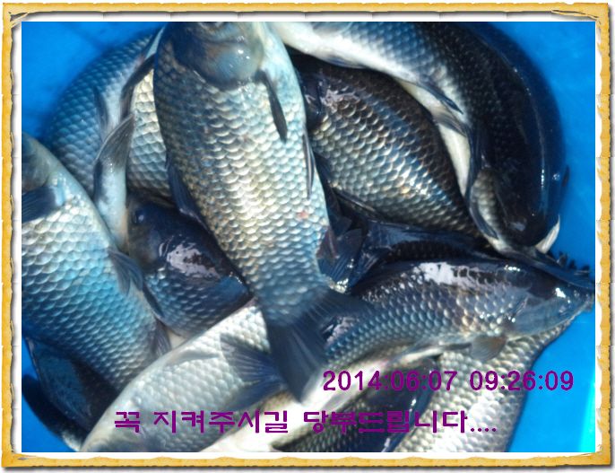 ٹ̱_DSC01321.JPG