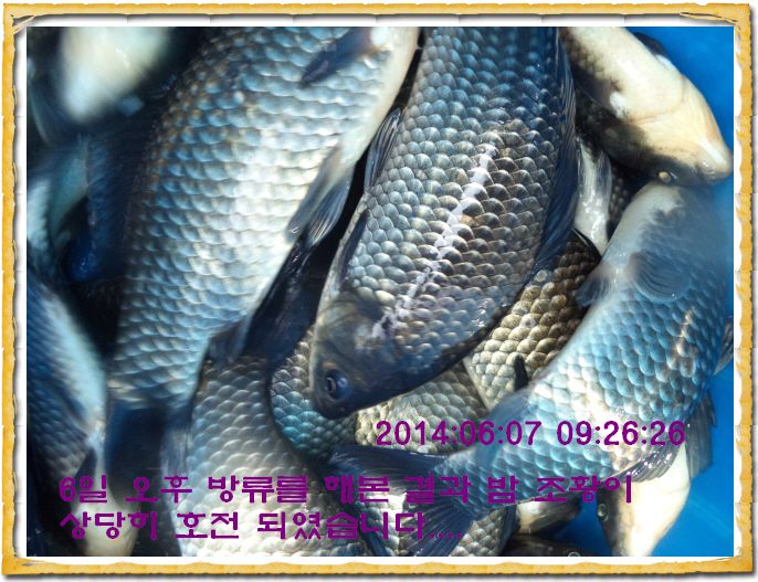 ٹ̱_DSC01322.JPG