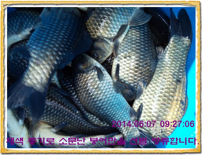 ٹ̱_DSC01323.JPG