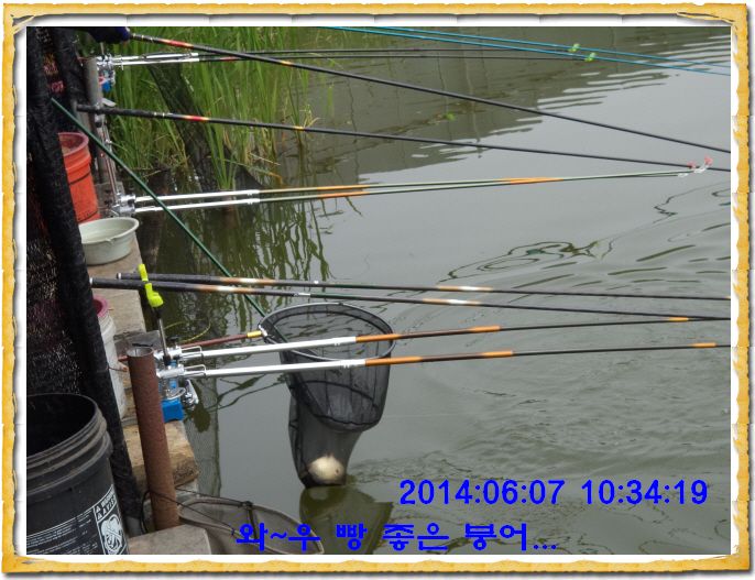 ٹ̱_DSC01340.JPG