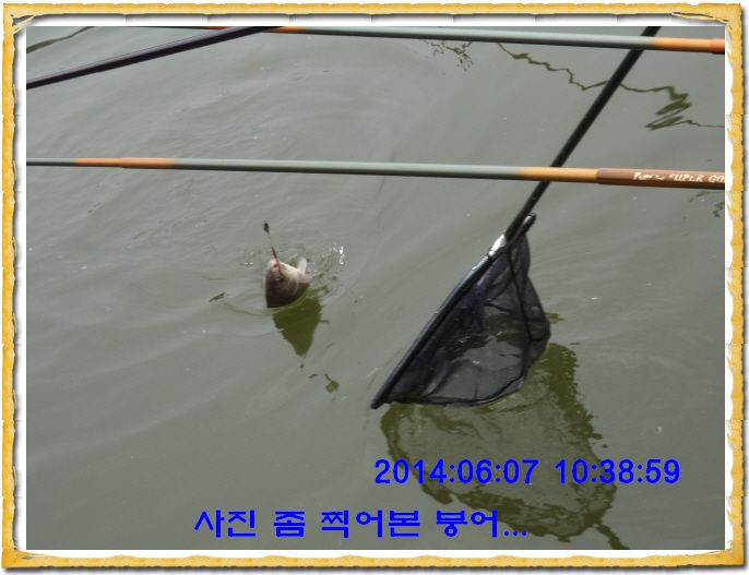 ٹ̱_DSC01342.JPG