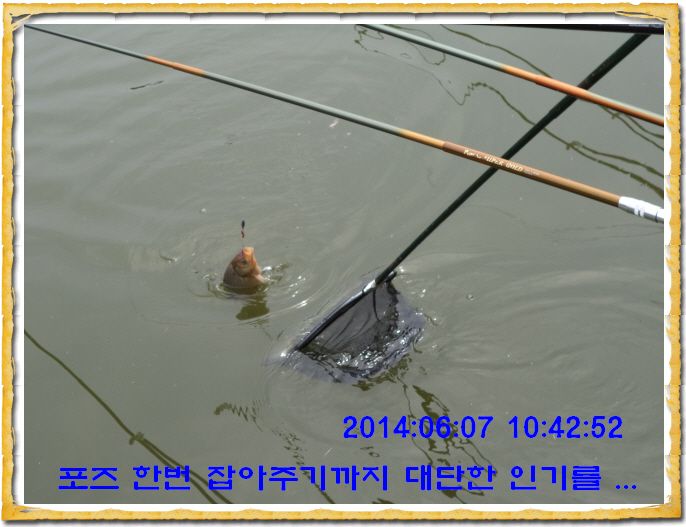 ٹ̱_DSC01343.JPG