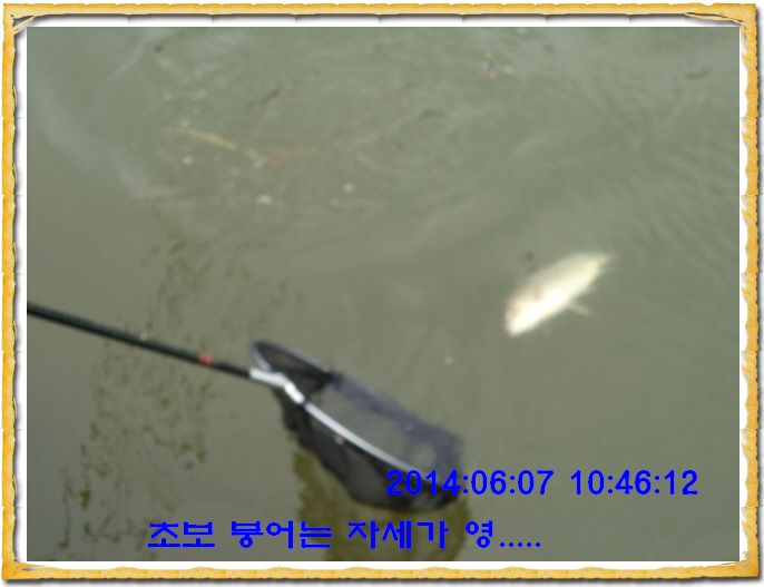 ٹ̱_DSC01344.JPG