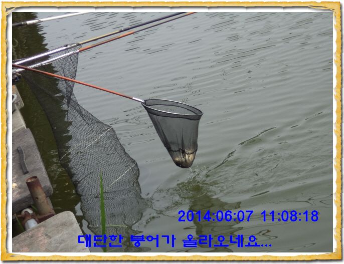 ٹ̱_DSC01350.JPG