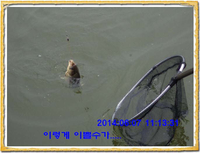 ٹ̱_DSC01351.JPG