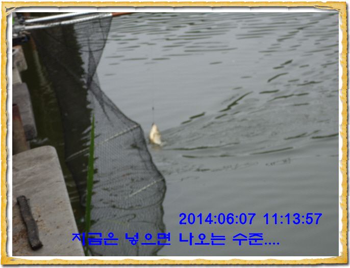 ٹ̱_DSC01352.JPG