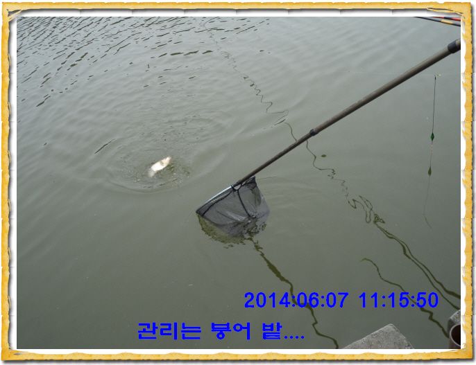 ٹ̱_DSC01353.JPG