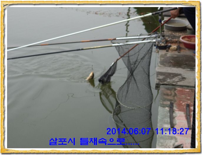 ٹ̱_DSC01356.JPG
