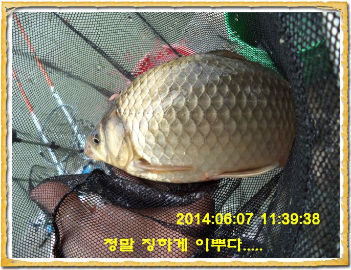 ٹ̱_DSC01365.JPG