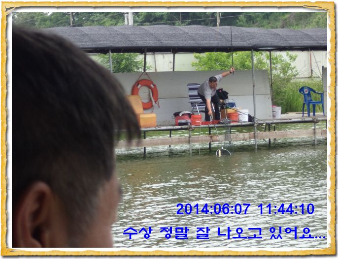 ٹ̱_DSC01366.JPG