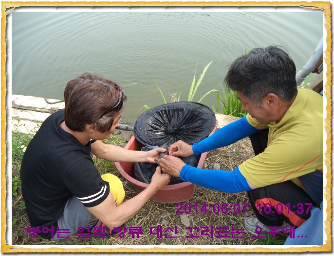 ٹ̱_DSC01375.JPG