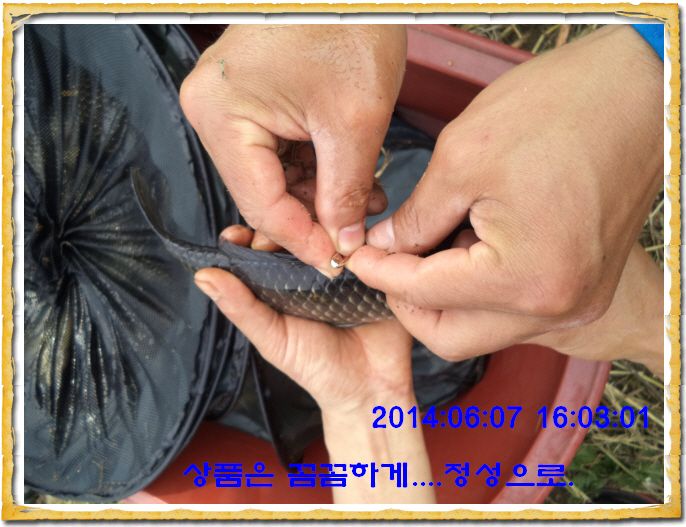 ٹ̱_DSC01381.JPG