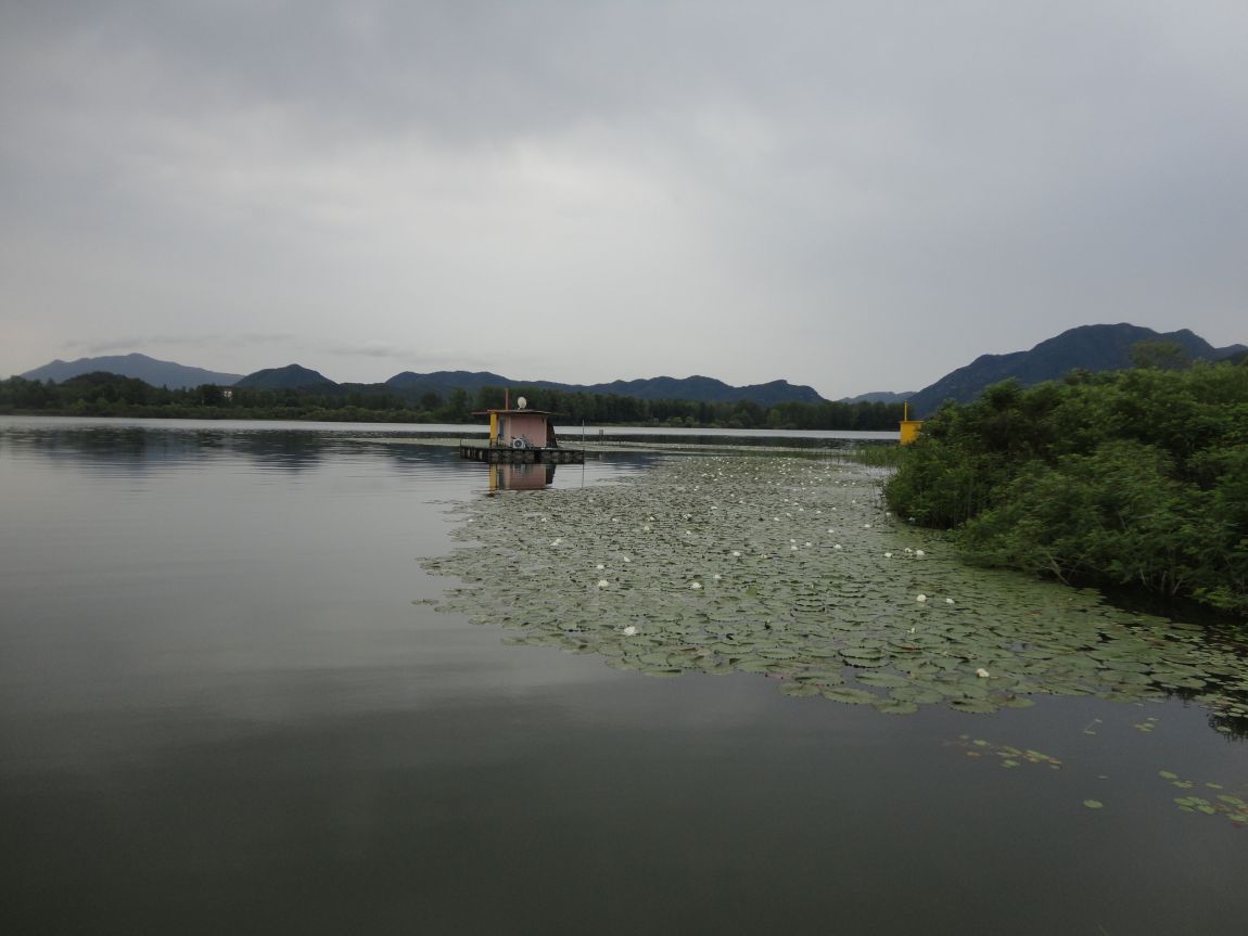 DSC08822.JPG