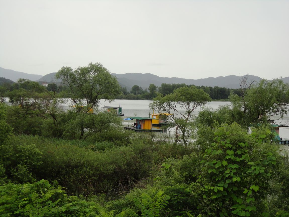 DSC08847.JPG