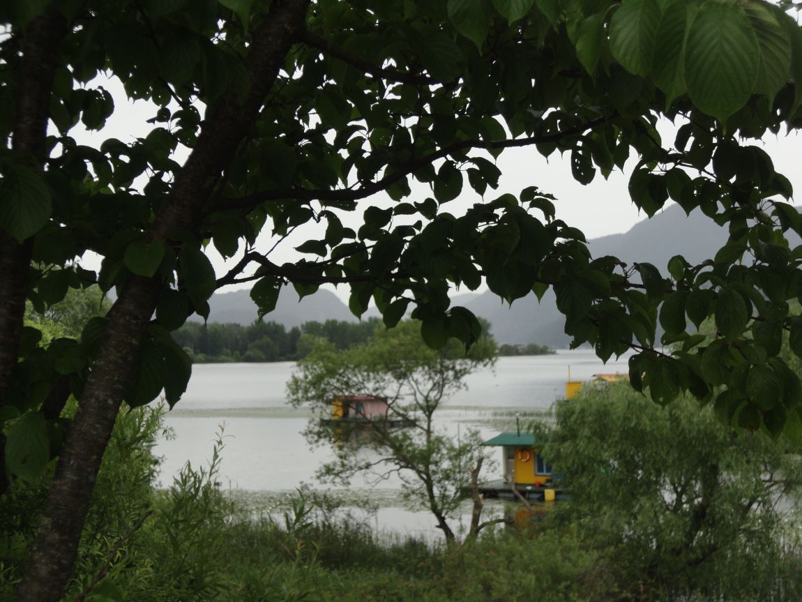 DSC08848.JPG