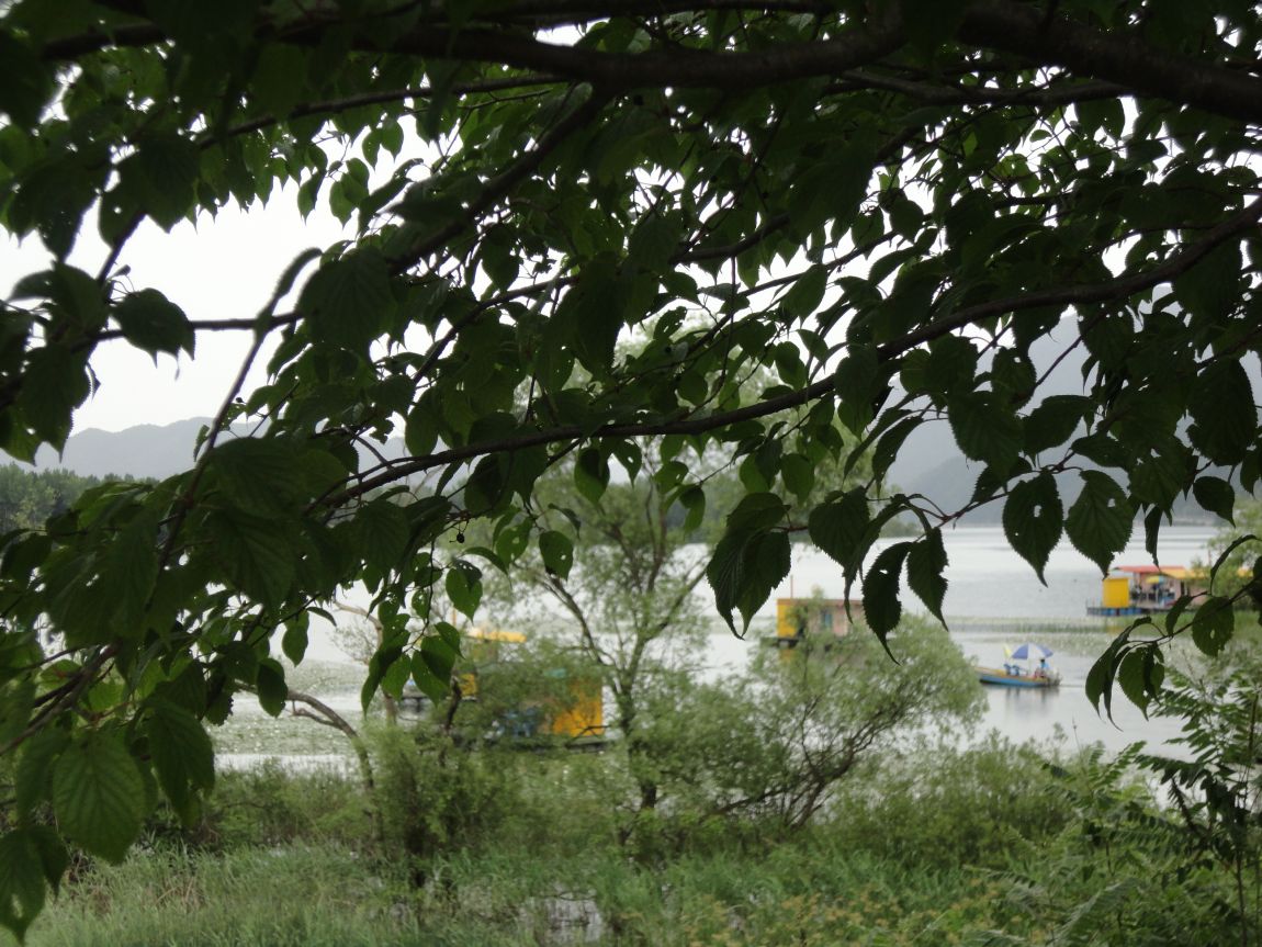 DSC08849.JPG