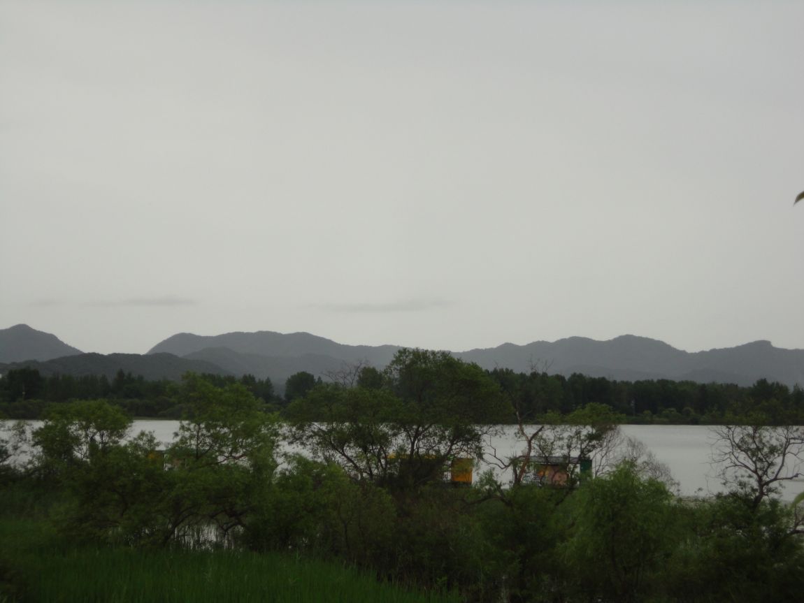 DSC08850.JPG