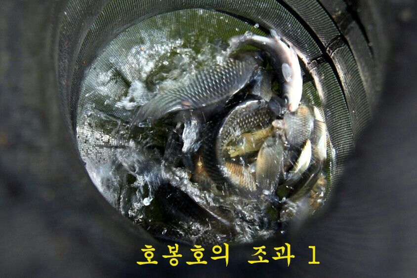 1402478514247.jpeg