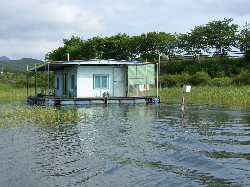 SH108930.JPG