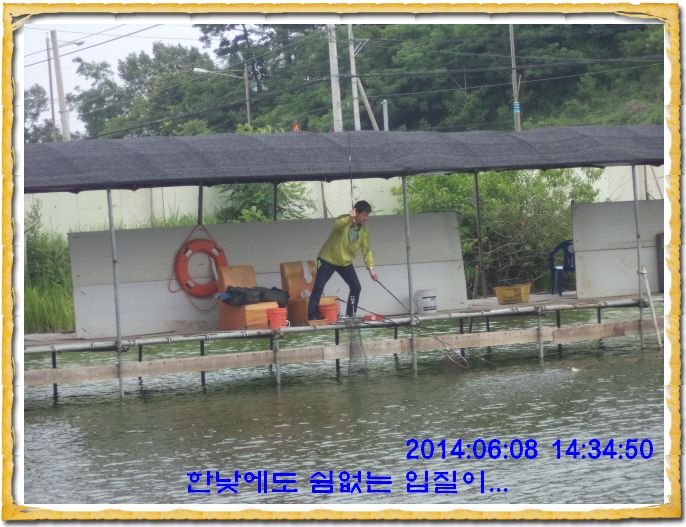 ٹ̱_DSC01461.JPG